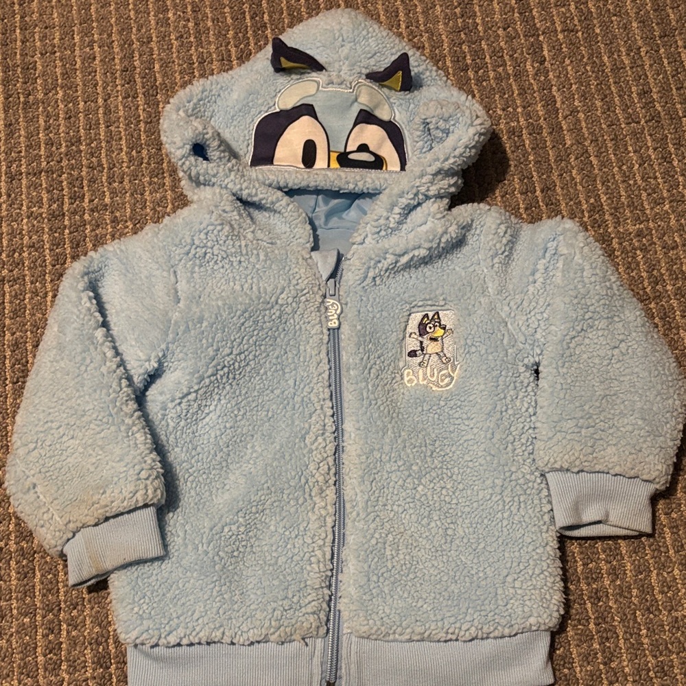 Plush Light Blue Hooded Kids Jacket with Character Embroidery
